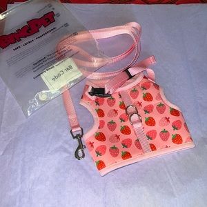 Strawberry dog harness with leash